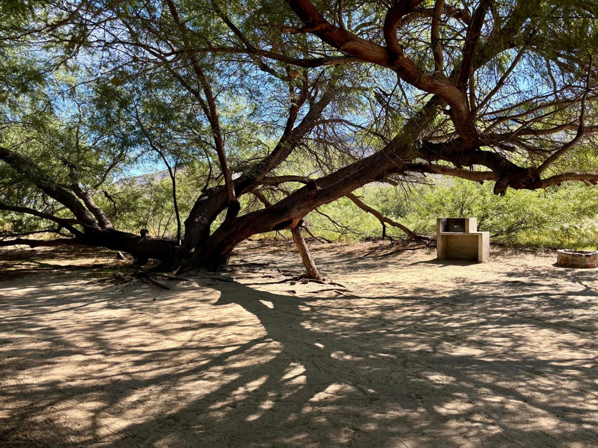 Enjo Nature Farm Clanwilliam Exterior foto